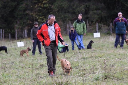 Dieter mit Luka bei der Schweißprüfung in Bayern