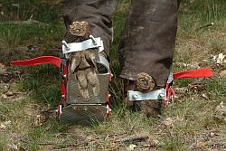 Fährtenschuh zum Training für Hund und Führer