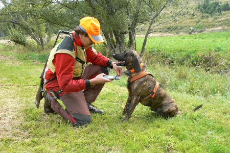 Hundeortung mit GPS, Schutzkleidung und Nachsuchenwaffe gehören zu unserem Handwerkzeug